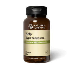 Бура Водорість