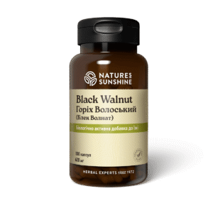 Горіх Волоський