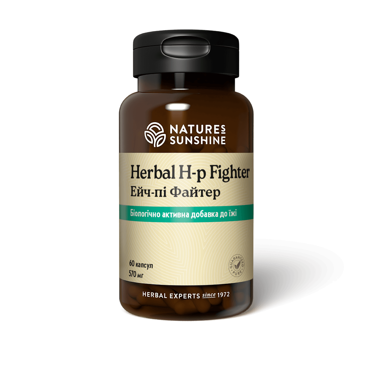 Ейч-Пі Файтер