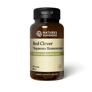 Червона Конюшина