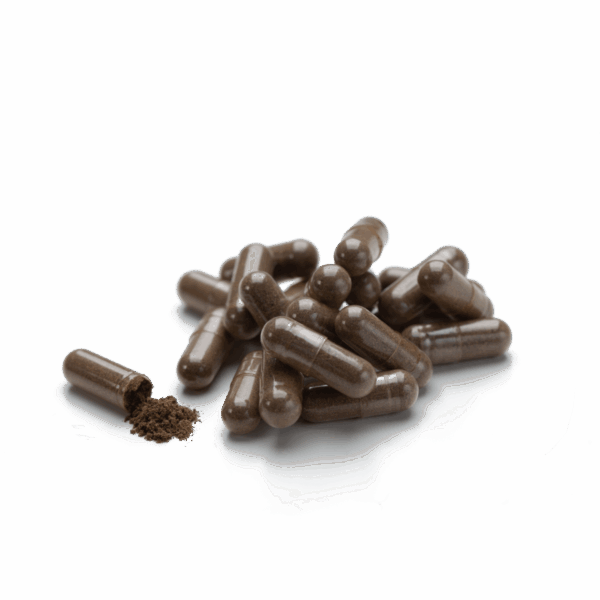 Бон-Сі - Зображення 2